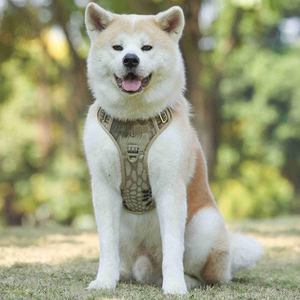 FishPrincess通気性ファッション犬用ハーネスリースセットヘビーデューティ戦術ペットベスト反射パッドアクティブ犬用 - Product Image 1