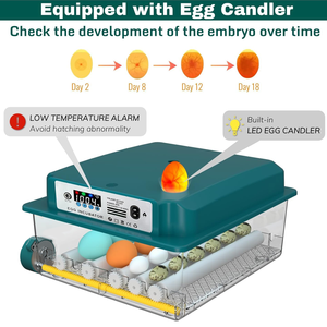 Incubateur intelligent entièrement automatique à température constante pour usage domestique, capacité de 16 à 120 œufs, incubateur pour œufs <span class=keywords><strong>d</strong></span>'<span class=keywords><strong>oiseaux</strong></span> - Product Image 6