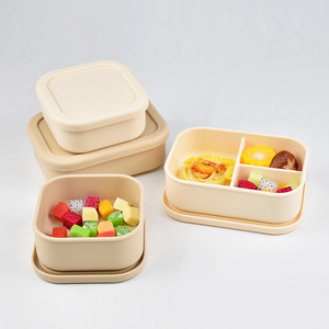 Bán Buôn Biểu Tượng Tùy Chỉnh Lò Vi Sóng Văn Phòng Thực Phẩm Container Trẻ Em Silicone Bento Hộp Set Silicone Hộp Ăn Trưa Cho Trẻ Em Trường - Product Image 5