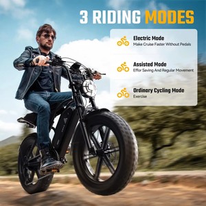 Vélo <span class=keywords><strong>électrique</strong></span> 750W 48V 15Ah 250W 25km/h avec pneus larges de 20 pouces, vélo cargo <span class=keywords><strong>électrique</strong></span> à cadre en acier, entrepôt UE, Fatbike adulte - Product Image 4