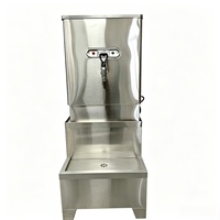 Chauffe-eau électrique mécanique à double robinet en acier inoxydable 70L/H pour usage hôtelier