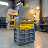 Presse à balles verticale hydraulique BRYDA 120T, haute résistance, forte force de compression, économie d'énergie, pour l'emballage des déchets industriels