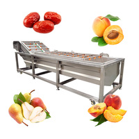 Op Maat Gemaakte Industriële Fruitwasmachine Kleinschalige Blad-En Wortelgroentepalmdadels Wasmachine Reinigingsmachine