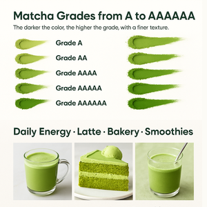 Marque privée Matcha Collagène Drop Ship Collagène Matcha à base de plantes certifié biologique - Product Image 2