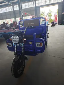 Brand New Cargo Electric Tricycles For Adult Taxi Tricycle
