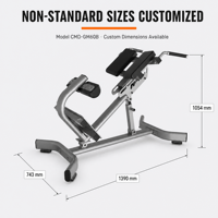 Chaise romaine multifonctionnelle en acier pour extensions dorsales et hyperextensions, équipement de musculation pour usage commercial et domestique