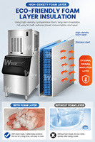 Machine à glace en flocons Agua Mar Flake Ice Maker Machine Snowflake Ice Machine Ice Flakes Making Machine 1000kg WICE Ice