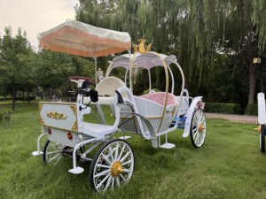HengYiSheng Carrosse Électrique Citrouille Royale - Utilisation Mariages et Parcs d'Attractions Origine Henan - Product Image 1