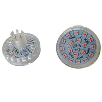 Cabochon Forain E14 3535 Automatique 60MM Préprogrammé RGB Pixel LED Point Lights pour Parc d'Attractions IP66 24V 110V 220V