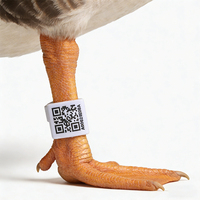 Mini-étiquette RFID NFC HF 13,56 MHz ISO18000-6C pour l'identification et la gestion des animaux, taille réglable, étanche, avec code QR, pour anneau de patte