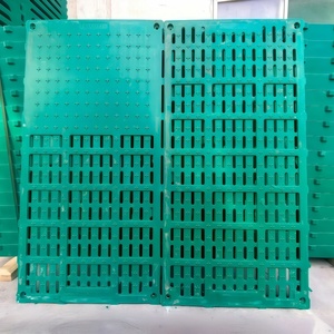 Nuevo Suelo de Plástico Ranurado <span class=keywords><strong>BMC</strong></span> Antideslizante para Cerdos, Tablero de Drenaje Completo para Cerdas y Lechones en Cama de Gestación - Product Image 3