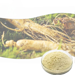 Hữu cơ chiết xuất thảo dược nhân sâm gốc bột hữu cơ tự nhiên ginsenosides với thành phần hoạt chất saponin - Product Image 3