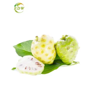 Factory Hot Sale Can Be Wholesale and Retail Health Care Product Noni Extract Benefits Noni Fruit Powder