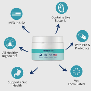 Suplemento Nutricional Natural <span class=keywords><strong>para</strong></span> Mascotas <span class=keywords><strong>de</strong></span> Marca Privada OEM ODM, Polvo Dental <span class=keywords><strong>para</strong></span> Mascotas que Favorece la Higiene Dental y Ayuda a Mantener <span class=keywords><strong>el</strong></span> <span class=keywords><strong>Aliento</strong></span> Fresco - Product Image 2