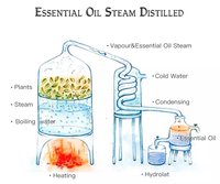 Aceites esenciales de fruta con infusión de jazmín, pomelo, coco, melocotón, fresa, mango, manzana, sandía, arándano, uva para el cuerpo