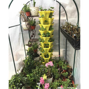 Invernadero pequeño de plástico para jardín, kit de cultivo comercial con accesorios, venta al por mayor, <span class=keywords><strong>2023</strong></span> - Product Image 3