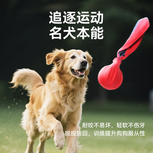 EETOYS <b>Dog</b> TPR Foam Training Toy Durable Teeth Cleaning Interactive Play For Pet Exercise - Product Image 4