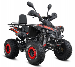 Quad à essence 4 temps 125cc pour jeunes, cylindre en aluminium, refroidissement par air, démarrage électrique, frein à disque - Product Image 3