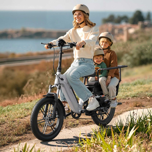 Vélo <span class=keywords><strong>cargo</strong></span> électrique familial en stock UE, 48V, avec siège enfant, couple élevé, cadre basse monture - Product Image 4