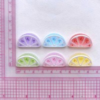 Citroen DIY harscharms fruit voedsel sinaasappelplakje voor DIY haarclips telefoonhoesjes schoensluitingen