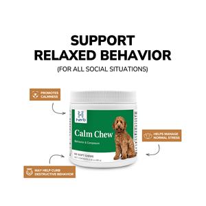 Compléments alimentaires pour animaux de compagnie OEM/ODM sous marque privée : Friandises à mâcher apaisantes pour chiens et chats, pour combattre l'anxiété, le stress et les aboiements - Product Image 2