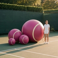 Ballon gonflable en PVC réaliste, grand format, durable, imperméable, pour sublimation photo, réplique sportive, personnalisable, vente en gros OEM, pour l'ouverture de centres commerciaux