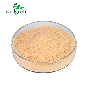 Wellgreen Bubuk Ekstrak Hawthorn Daun Buah Berry Organik, Bubuk Ekstrak Hawthorn Daun Buah Berry Organik - Product Image 3