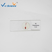8pcs Glass Root Microscope Prepared Slides Set for School Teaching Aids in Botany & Biology