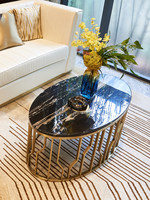 Table basse de style nordique, luxe léger, minimaliste et moderne, idéale pour les petites maisons ; ovale en acier inoxydable et marbre pour salon