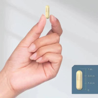 OEM ODM Marque privée 100% Capsules d'acide alpha-lipoïque naturel Nutricost Acide alpha-lipoïque 600mg 60 Capsules