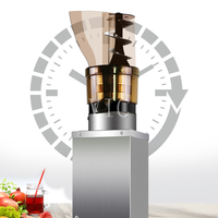 Machine à jus électrique rapide pour gingembre, pomme, poire, raisin – Presse-jus à froid