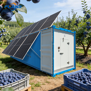 <span class=keywords><strong>Conteneur</strong></span> Réfrigéré Solaire de 40 <span class=keywords><strong>Pieds</strong></span> – Chambre Froide Écologique pour Stockage de Produits Laitiers et Aliments Frais avec Surveillance à Distance de Haute Performance - Product Image 3