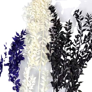<span class=keywords><strong>Bouquet</strong></span> de fleurs séchées de haute qualité, très populaire, ruscus préservé, cadeau, matériel de bricolage, Saint-Valentin, Noël, décoration de la maison - Product Image 2