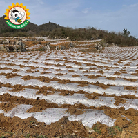 Film de paillage biodégradable à 100 % Garden Bee en PBAT PLA pour serres, tomates et poivrons, certifié DIN