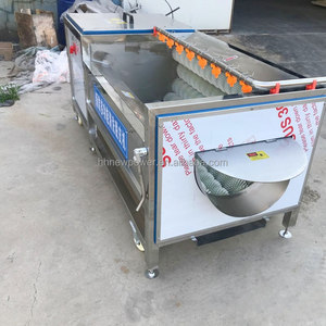 Machine de lavage et de pelage industrielle certifiée CE pour légumes (pommes de terre, carottes, taro, manioc, gingembre, igname) et avocats - Product Image 5