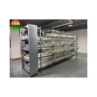 Système de cage automatique de type H pour poules pondeuses élevage de volailles élevage de volailles cage à poulets équipement de ferme avicole