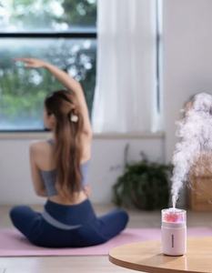 เครื่องเพิ่มความชื้นในอากาศแบบ USB พร้อมดอกไม้แห้งและไฟ LED สีสันสดใส ระบบพ่นละอองละเอียดแบบอัลตราโซนิก ทำงานเงียบ ปิดอัตโนมัติ ใช้ได้ทั้งในรถยนต์และที่บ้าน - Product Image 5