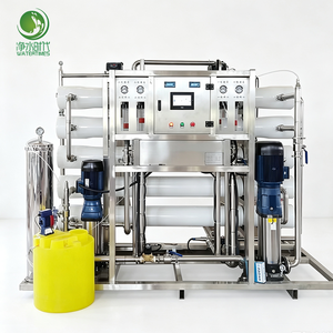 Purificateur d'eau commercial à double étage avec débit personnalisé pour la production en usine alimentaire et de boissons 0,25 t/h – Nous fournissons des modèles simples et doubles - Product Image 6