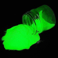 Poudre de pigment inorganique neutre et fluorescente en aluminate de strontium, qui brille dans le noir, pour le nail art, le maquillage corporel/du visage 040