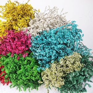 Fleurs séchées de gypsophile cristallin préservées pour l'aménagement intérieur, bouquet de mariage DIY, fleur artificielle de gypsophile - Product Image 1
