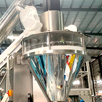 Solution clé en main d'emballage de poudre avec machine d'emballage de sachets préformés et automatisation de la fin de ligne
