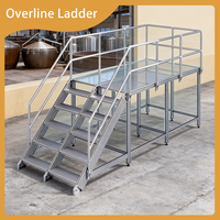Plataforma de Trabajo Elevada de Aluminio Reforzado para Líneas de Producción de Alimentos con Barandillas de Seguridad Completas