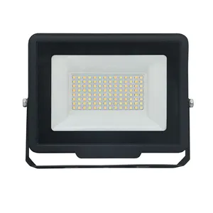 הספק גבוה 3-IN-1 CCT שינוי LED פנס 10W 20W 30W 50W 70W 100W 150W 200W 300W LED הצפה אור