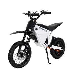 Motocicleta para Adultos, 1500W, 48V, Batería de Litio, Impermeable, 65km/h, Carga 120kg - Product Image 1