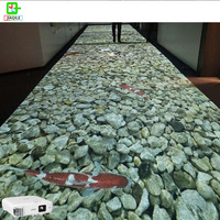 Leplay Projecteur Holographique Interactif Résolution 1920x1200 App Télécommande pour Salles de Projection Immergées Intérieur