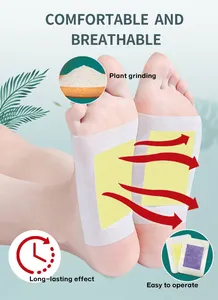 New Product Release Ginger Detox Foot Patch Removing Dampness Body Detox Herbal Care Foot Detox Pads