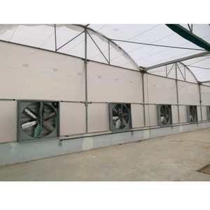 Estructura de Invernadero de Polietileno de Alta Resistencia y Durabilidad con Cubierta Resistente a los Rayos UV para Vegetales, Frutas y Flores - Product Image 6