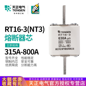 Fusibles céramiques à action rapide Tengen Rt16-3 630A gG 500V 120kA haute tension pour protection électrique - Product Image 5