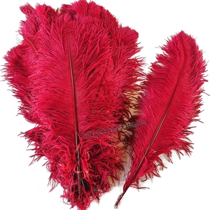 Grand vase floral de 20/22 pouces, <span class=keywords><strong>d</strong></span>écoration réelle, bricolage, plumes <span class=keywords><strong>d</strong></span>'<span class=keywords><strong>autruche</strong></span> naturelles noires pour fête, carnaval, mariage - Product Image 5
