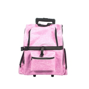 Factory Supply Airline Approved Pet <b>Bag</b> Removable Pet Dog Cat Soft <b>Sided</b> Anti Scratch Mesh Pet <b>Bag</b> With Pull Rod - Product Image 1